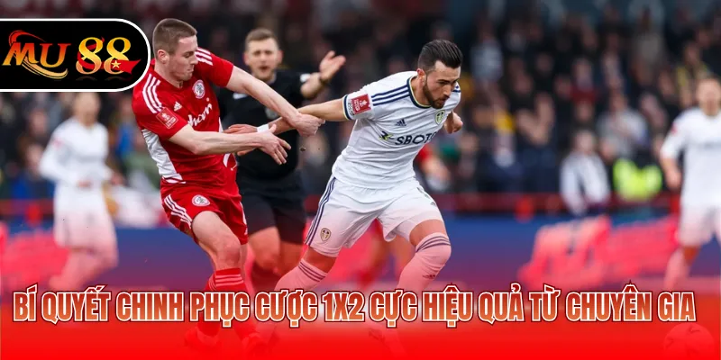 Bí quyết chinh phục cược 1X2 cực hiệu quả từ chuyên gia