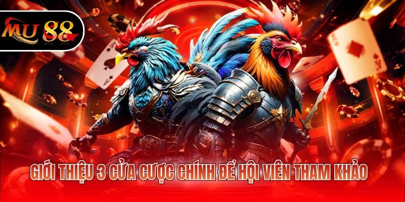 Giới thiệu 3 cửa cược chính để hội viên tham khảo
