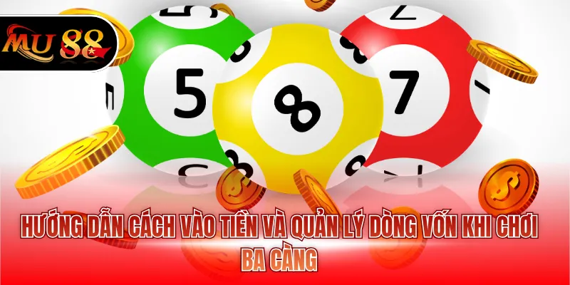 Hướng dẫn cách vào tiền và quản lý dòng vốn khi chơi ba càng