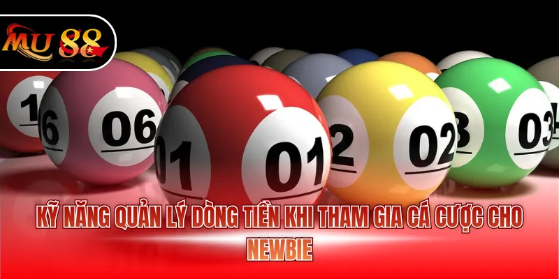 Kỹ năng quản lý dòng tiền khi tham gia cá cược cho newbie