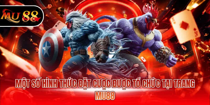Một số hình thức đặt cược được tổ chức tại trang MU88