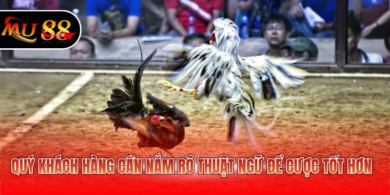 Quý khách hàng cần nắm rõ thuật ngữ để cược tốt hơn