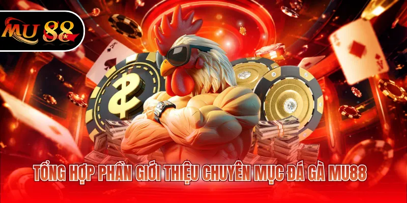 Tổng hợp phần giới thiệu chuyên mục đá gà MU88